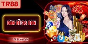Dàn Đề 36 Con: Phân Tích Đặc Điểm Và Cách Nuôi Hiệu Quả